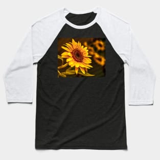 Sunflowers in bloom -Sleepy Bee Baseball T-Shirt